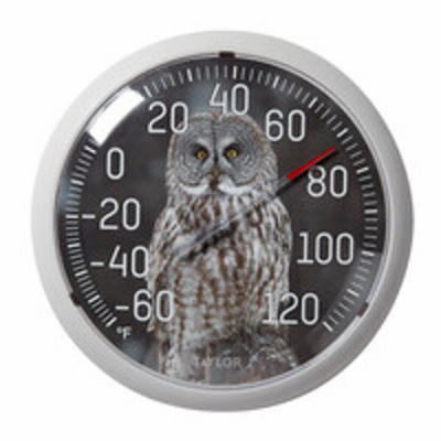 Owl Thermometer