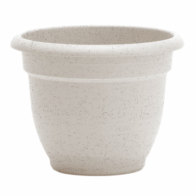 12" Bean Ariana Planter