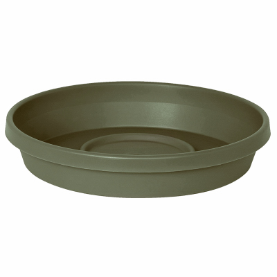12" Basil Terra Saucer