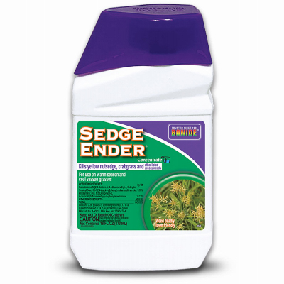 PT Conc Sedge Ender