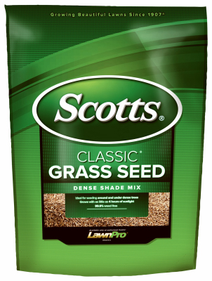 3LB Class Shade Seed