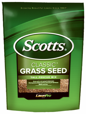 7LB Class Tall Fescue