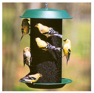 Plas Thistle Feeder
