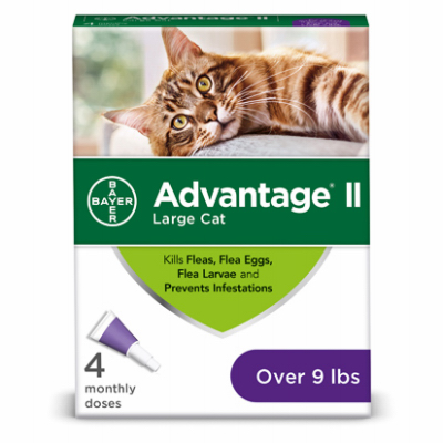 4PK Purp Advantage II