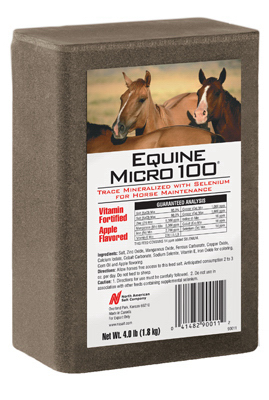 4LB Equine Brick