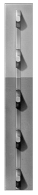 1.25x6 GRY Stud T Post