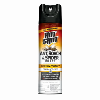 17.5OZ Ant/Roach Killer