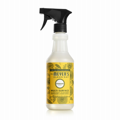 16OZ Dand MS Cleaner