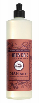 16OZ Fall Dish Soap