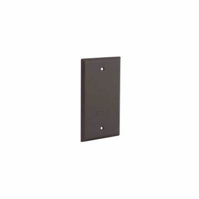 1G BRZ V/H Blank Cover