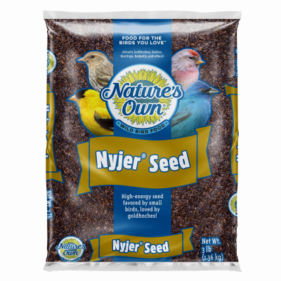 3LB Nyjer Seed