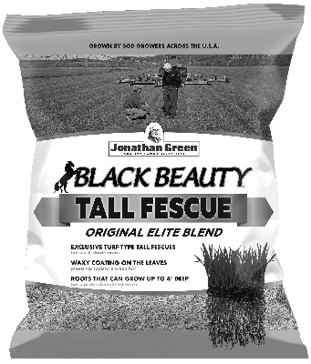 15LB BB Tall Fescue