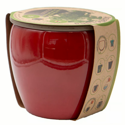 5.75"RR Aqua Planter