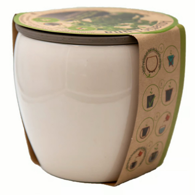 5.75"White Aqua Planter