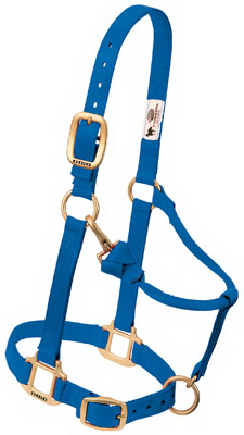 3/4" BLU Pony Halter
