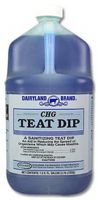 CHG GAL Teat Dip