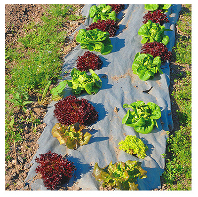 40'NAT GDN Weed Barrier