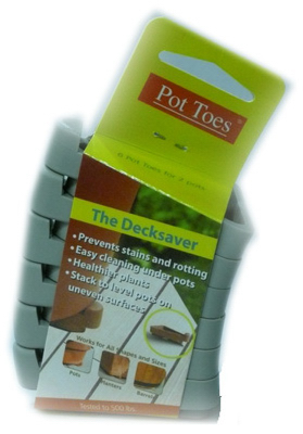 6PK 3" GRY Pot Toes