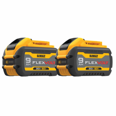 2PK 20/60V Flex Battery