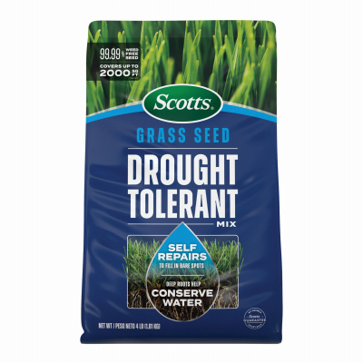 4LB Drought Seed
