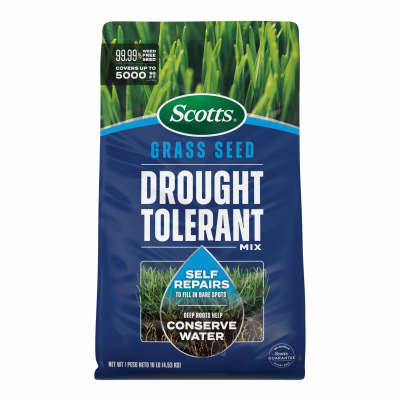 10LB Drought Seed