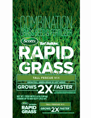 2.4LB TB Rapid Fescue