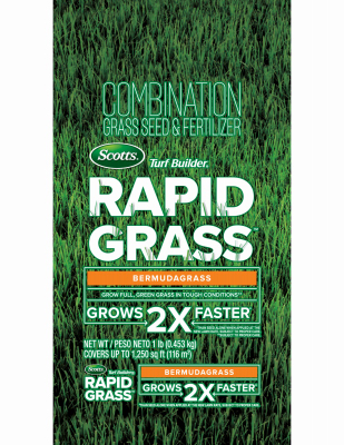 LB TB Rapid Bermuda