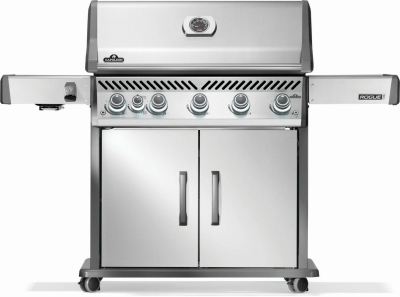 Rogue 625 SS LP Grill