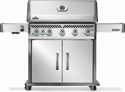Rogue 625 SS LP Grill