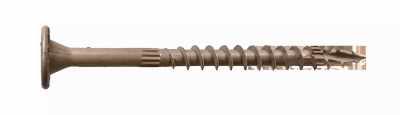 50PK .22x5 T40 Screw