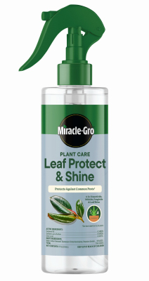 8OZ Leaf Shine&Protect