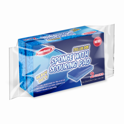 2PK Sponge/Scourng Pad