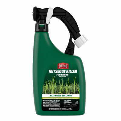 QT RTS Nutsedge