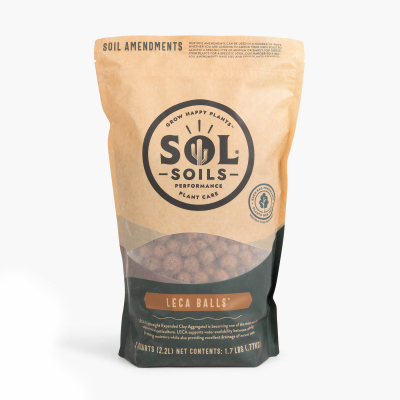 2QT LECA Balls