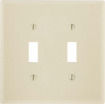 IV 2-TOGGLE WALL PLATE