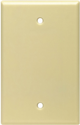 IV BLANK WALL PLATE