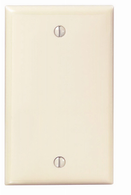 IV BLANK WALL PLATE