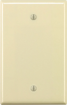 LT ALM BLANK WALL PLATE