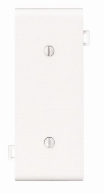 WHT BLANK CENTER PLATE