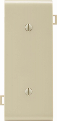 IV BLANK CENTER PLATE