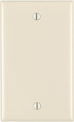 1G ALM BLANK WALLPLATE
