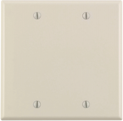 2G ALM BLANK WALLPLATE