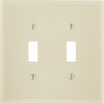 IV 2-TOGGLE WALL PLATE