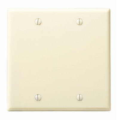 2G IV BLANK WALLPLATE