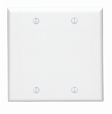 2G WHT BLANK WALLPLATE