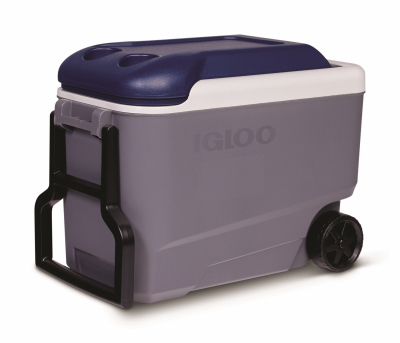 40QT WHL Ash Chest