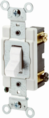 WHT 2-POLE GRND SWITCH