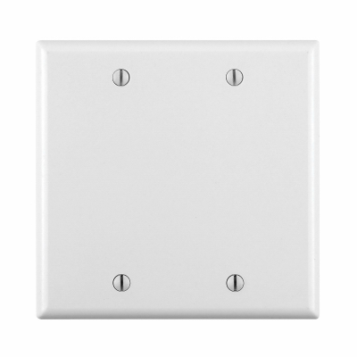 WH 2G BLANK WALLPLATE