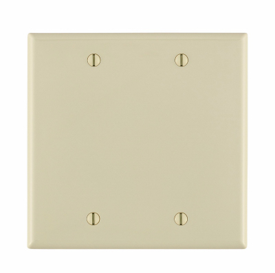LTALM 2G BLNK WALLPLATE