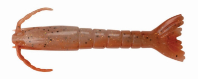 SW Shrimp